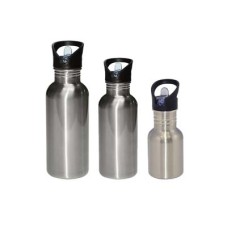 Stainless Steel Water Bottle with Straw Top(Silver)