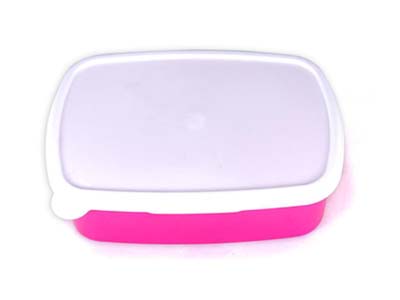 Plastic Lunch Box-Purple Red