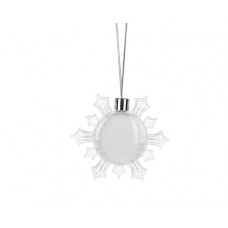 Plastic Ornament(Snowflake, φ8.5cm)