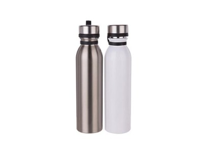 20oz/600ml Stainless Steel Flask w/ Portable Lid
