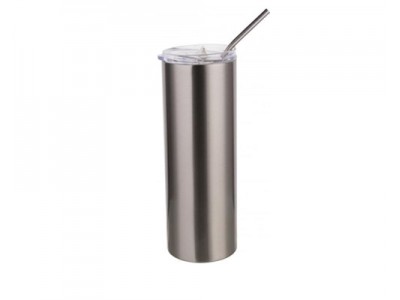 20oz/600ml Stainless Steel Tumbler with Straw & Lid(Silver)