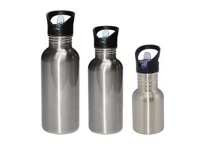 Stainless Steel Water Bottle with Straw Top(Silver)
